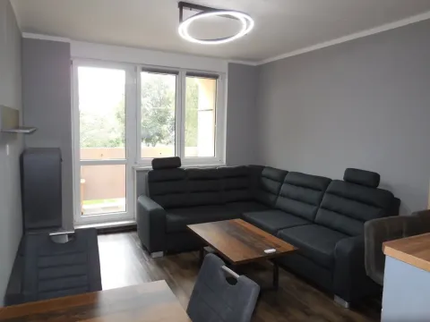 Pronájem bytu 2+kk, Borovany, Třeboňská, 47 m2