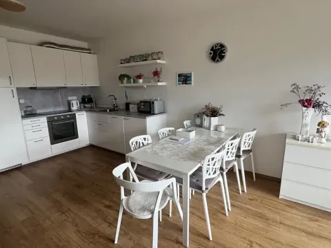 Pronájem bytu 2+kk, Liberec, Boženy Němcové, 54 m2