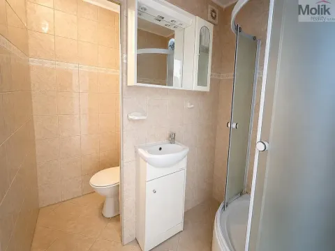 Prodej bytu 2+kk, Krupka - Maršov, Dukelských hrdinů, 39 m2