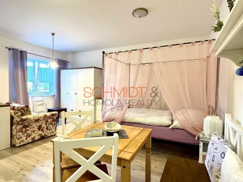 Pronájem bytu 1+kk, Hustopeče, Brněnská, 39 m2