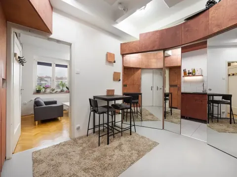 Pronájem bytu 1+1, Praha - Žižkov, Baranova, 49 m2