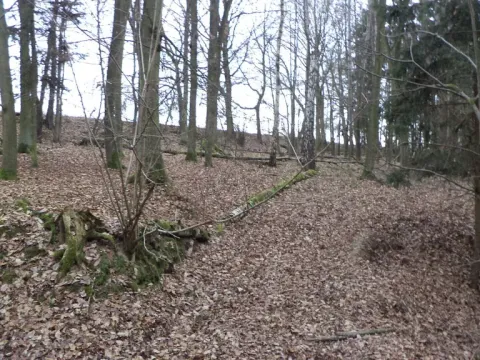 Prodej lesa, Křečovice - Nahoruby, 28299 m2