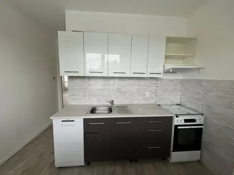 Pronájem bytu 2+1, Ostrava, Kyjevská, 58 m2