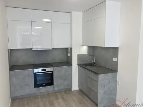 Pronájem bytu 2+kk, Ostrava - Hrabůvka, Hasičská, 41 m2