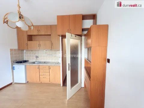 Pronájem bytu 1+kk, Ústí nad Labem - Střekov, Tolstého, 20 m2
