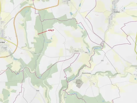 Dražba lesa, Česká Bělá, 90 m2