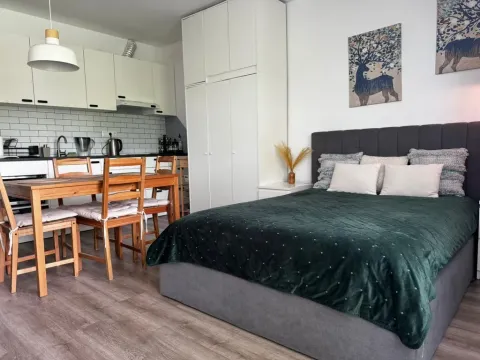 Pronájem bytu 1+kk, Mělník, U Potoka, 32 m2