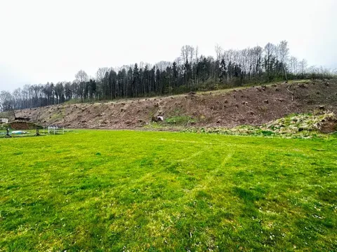 Prodej rodinného domu, Valašské Meziříčí, 75 m2
