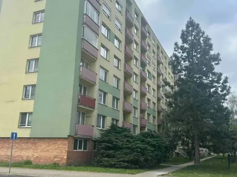 Prodej bytu 2+1, Mladá Boleslav, U stadionu, 63 m2