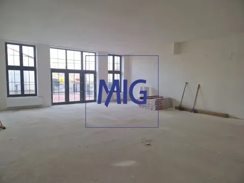 Pronájem obchodního prostoru, Syrovice, 88 m2