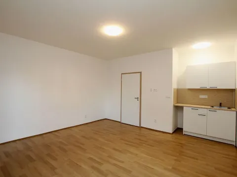 Pronájem bytu 1+kk, Pardubice - Rosice, generála Svobody, 27 m2