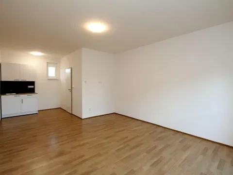 Pronájem bytu 1+kk, Pardubice - Rosice, generála Svobody, 29 m2
