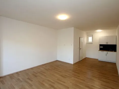 Pronájem bytu 1+kk, Pardubice - Rosice, generála Svobody, 29 m2