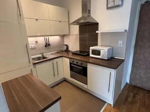 Pronájem bytu 1+kk, Praha - Nusle, Jaurisova, 35 m2