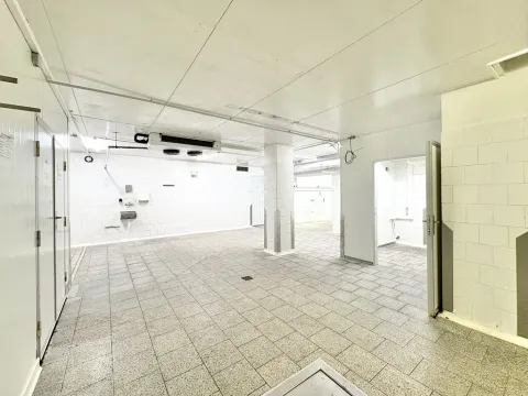 Pronájem skladu, Brno, U vlečky, 152 m2