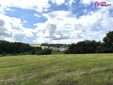 Prodej louky, Rychnov nad Kněžnou, 16663 m2