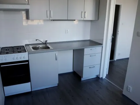 Pronájem bytu 1+1, Ostrava - Zábřeh, Písečná, 32 m2