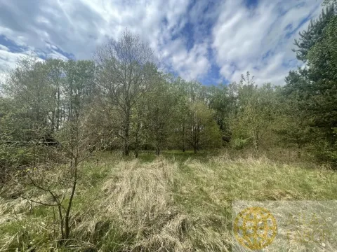 Prodej pozemku pro bydlení, Soběslav - Soběslav III, Wilsonova, 1132 m2