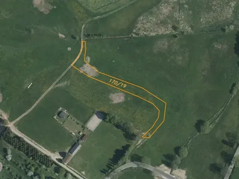 Dražba pozemku, Horní Ves, 3069 m2