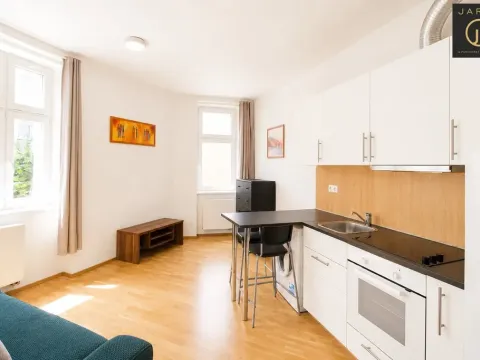Pronájem bytu 1+kk, Praha - Libeň, Lihovarská, 25 m2