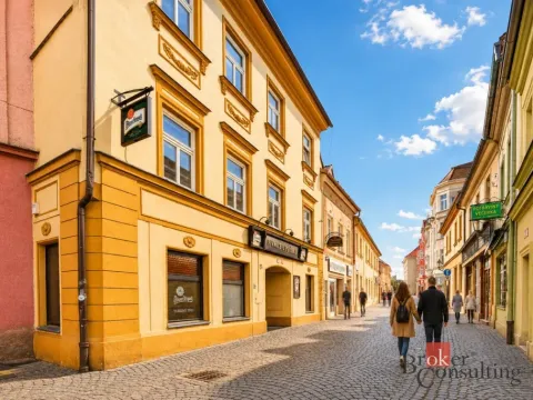 Prodej historického objektu, Litoměřice - Litoměřice-Město, Novobranská, 499 m2