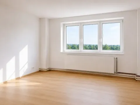 Pronájem bytu 1+kk, Syrovice, 26 m2