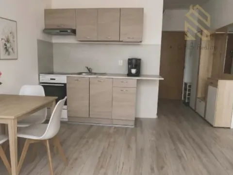 Pronájem bytu 1+1, Louny, Petra Obrovce, 35 m2