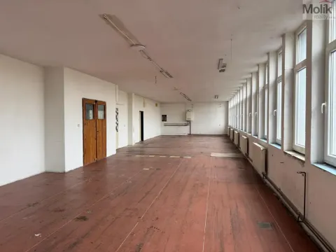Pronájem výrobních prostor, Most - Velebudice, Pekárenská, 175 m2