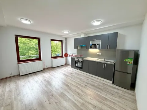 Pronájem bytu 1+kk, Litvínov - Horní Litvínov, náměstí Míru, 60 m2