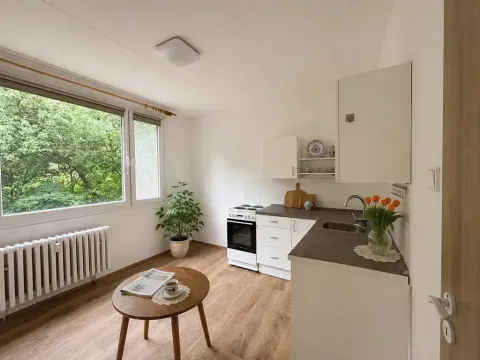 Pronájem bytu 1+1, Litvínov, U Bílého sloupu, 40 m2