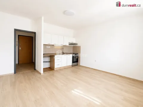 Pronájem bytu 1+1, Ústí nad Labem - Severní Terasa, Šrámkova, 40 m2