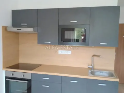 Pronájem bytu 1+1, Chodov, Čs. odbojářů, 36 m2