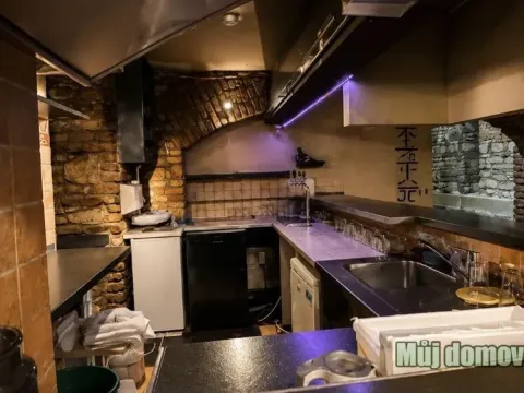 Pronájem komerční nemovitosti, Praha - Nusle, 80 m2