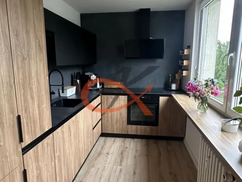 Pronájem bytu 3+kk, Zašová, 74 m2