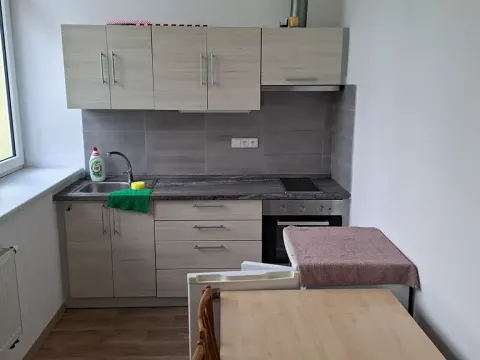 Pronájem bytu 1+kk, Jihlava, Hálkova, 18 m2