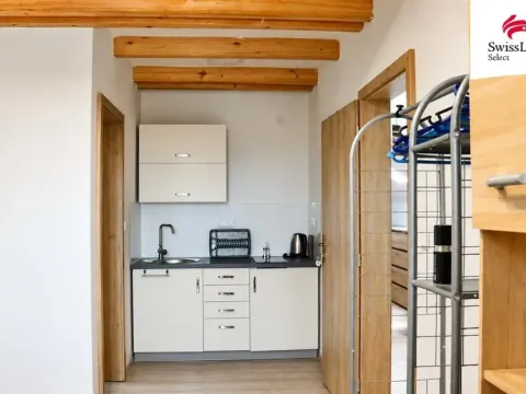 Pronájem bytu 1+kk, Břehov, 57 m2