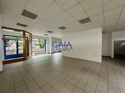 Pronájem obchodního prostoru, Kyjov, Kollárova, 226 m2