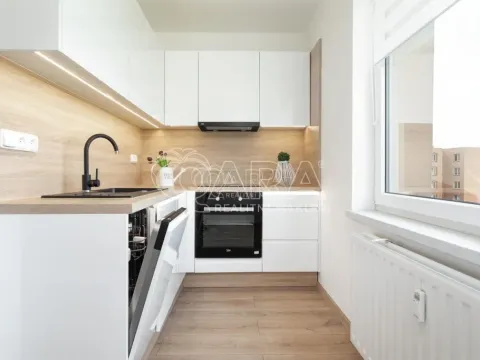 Pronájem bytu 1+1, Ostrava - Výškovice, Na Výspě, 38 m2