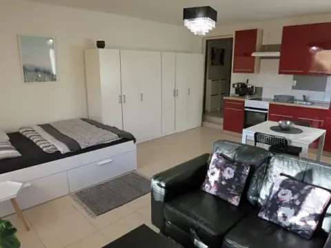 Pronájem bytu 1+kk, Samotišky, 40 m2