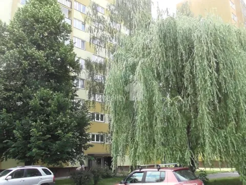 Prodej bytu 4+1, Ostrava - Hrabůvka, Alberta Kučery, 68 m2