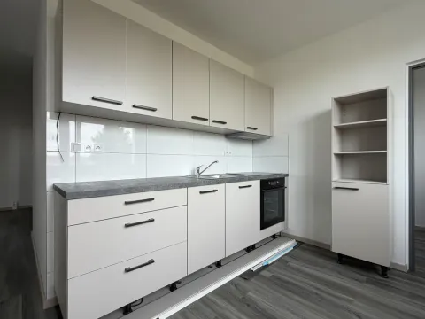 Prodej bytu 2+1, Roudnice nad Labem, Vrchlického, 56 m2