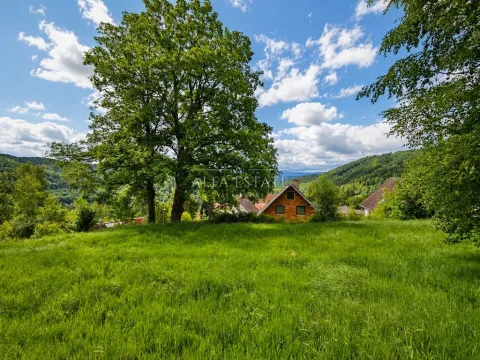Prodej louky, Oloví, Horní, 420 m2