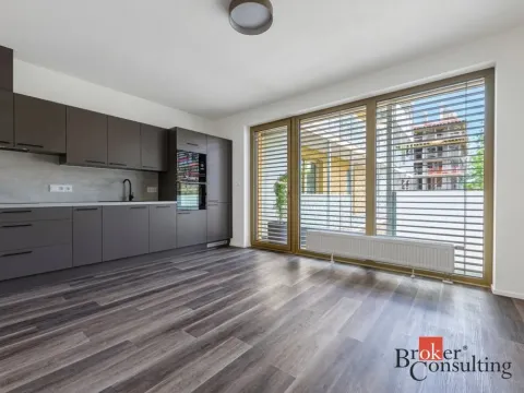 Pronájem bytu 1+kk, Plzeň - Východní Předměstí, Zahradní, 40 m2