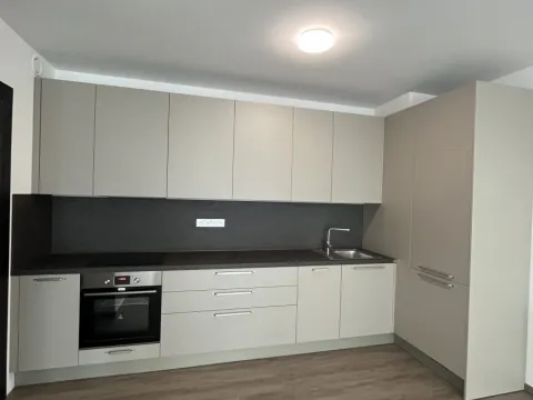 Pronájem bytu 2+kk, Olomouc - Nová Ulice, Třída Jiřího Pelikána, 57 m2