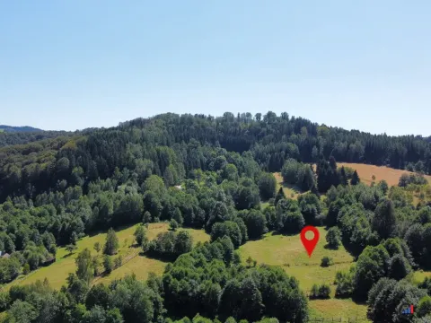 Prodej pozemku pro bydlení, Olešnice v Orlických horách, 3027 m2