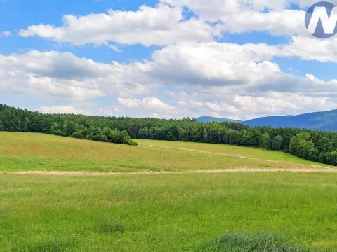 Prodej lesa, Chlumany, 17989 m2