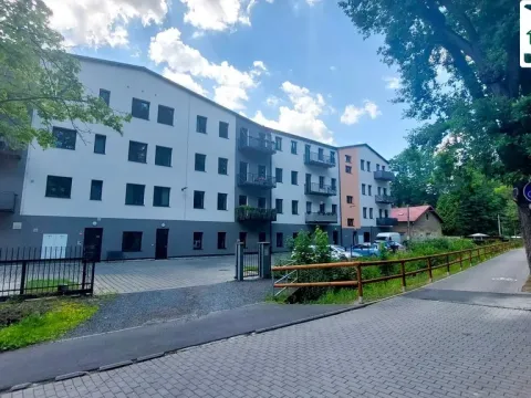Pronájem bytu 2+kk, Cheb, Břehnická, 90 m2