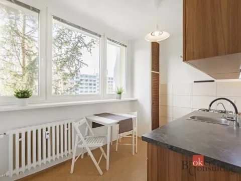 Prodej bytu 2+1, Brno - Lesná, Šrámkova, 53 m2