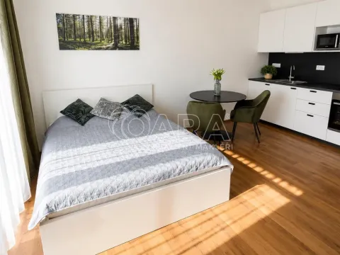 Pronájem bytu 1+kk, Praha - Holešovice, V závětří, 34 m2