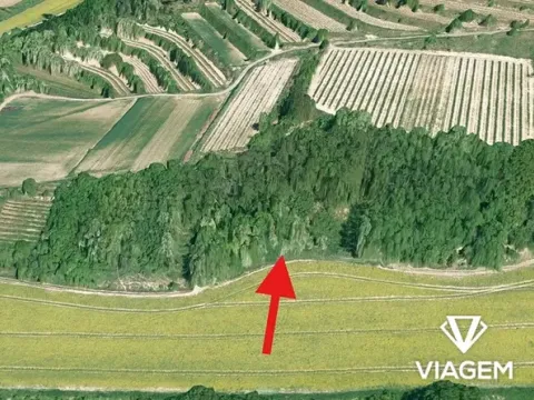 Prodej pozemku pro bydlení, Němčičky, 846 m2
